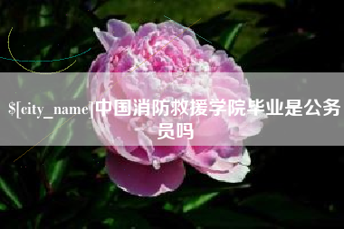 沙河中国消防救援学院毕业是公务员吗