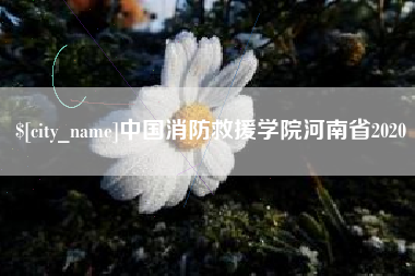 沙河中国消防救援学院河南省2020